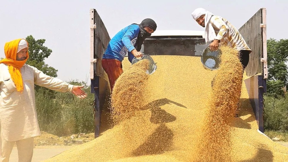 gıda milliyetçiliği nedir